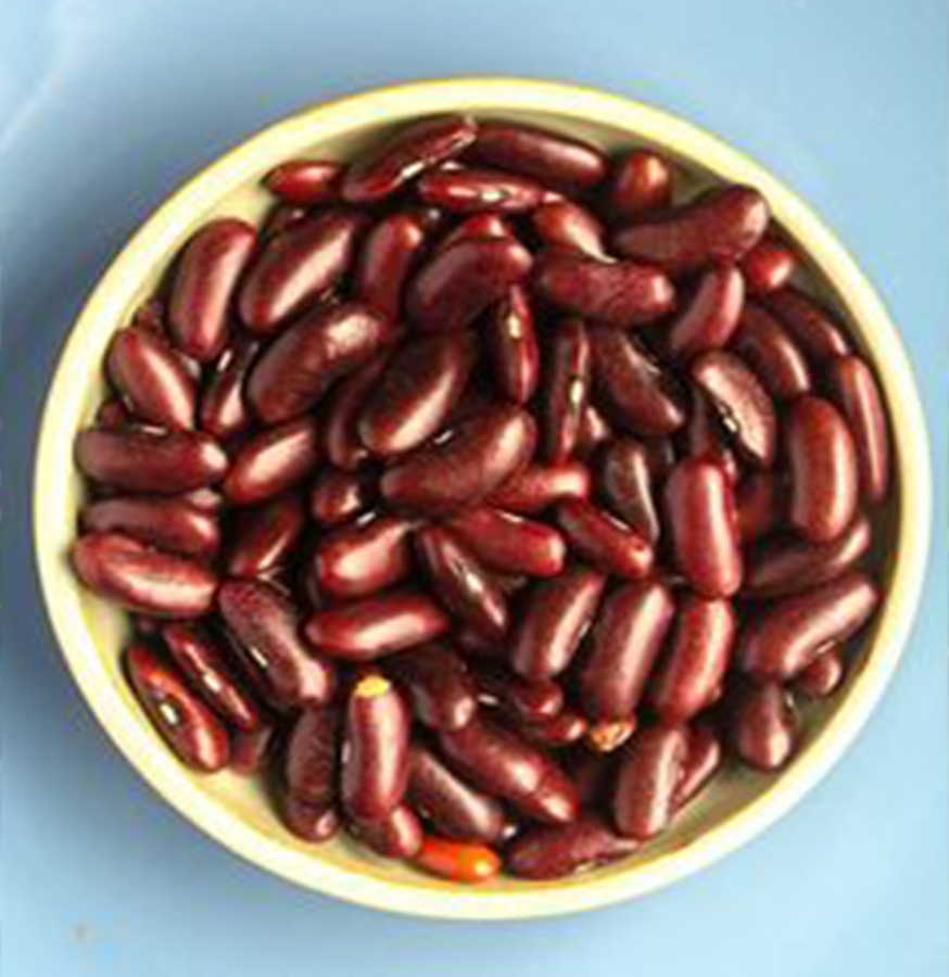 Kidney Beans